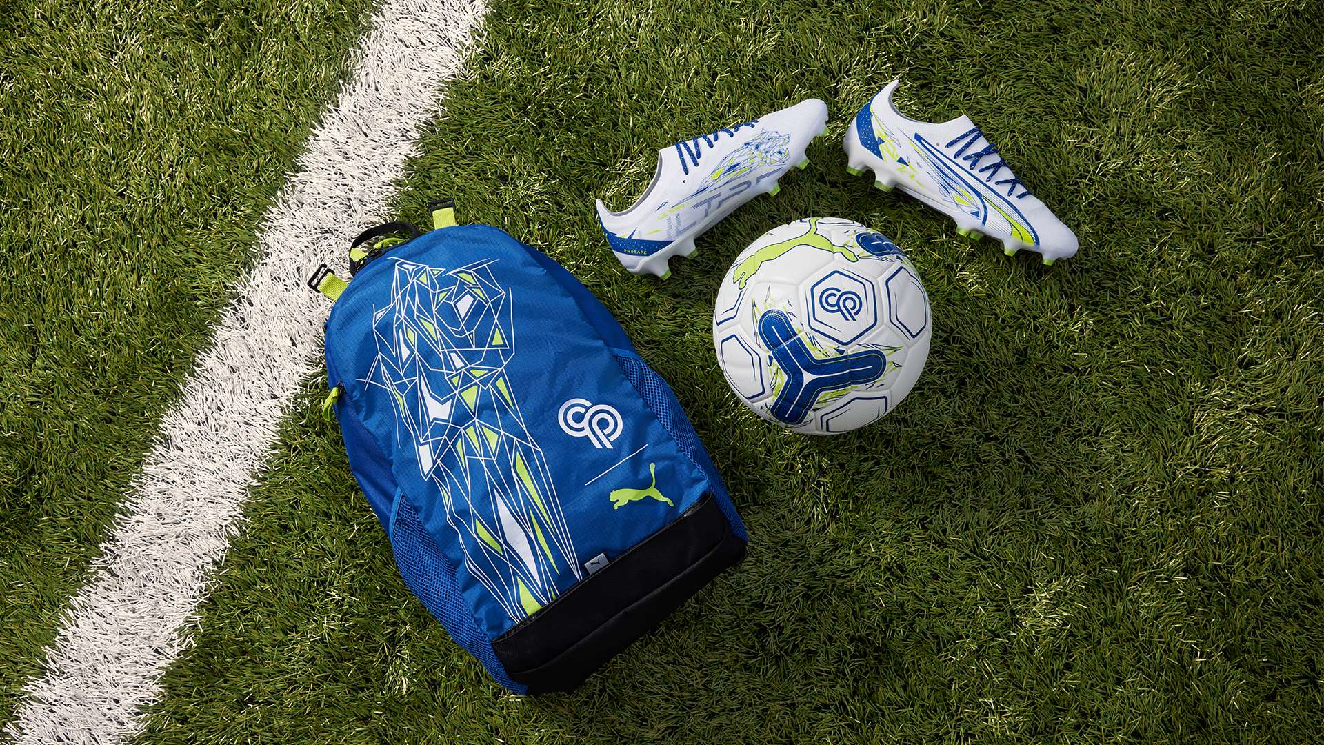 了重要支持 了重要支持